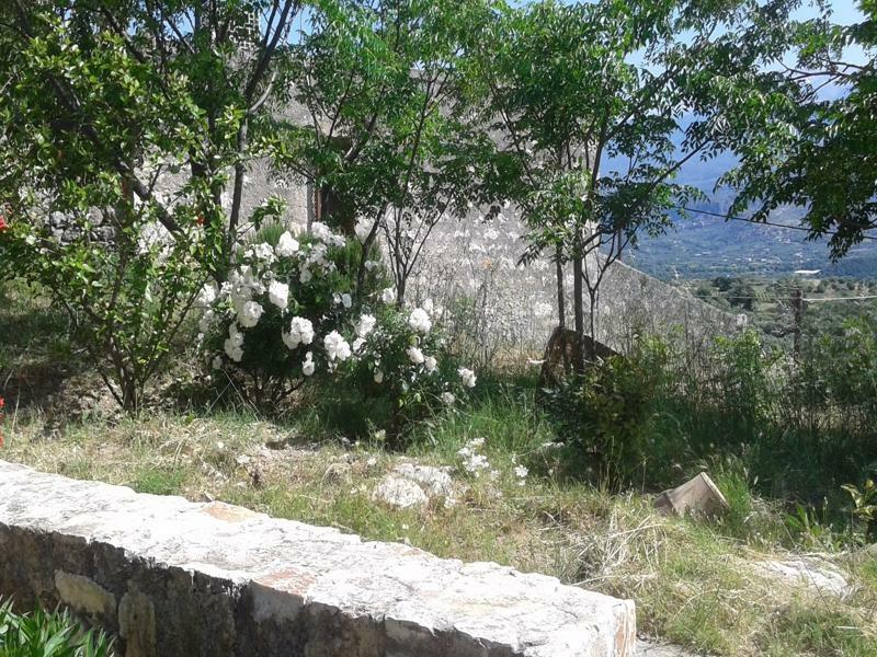 فيلا Petra & Elia Megala Chorafia المظهر الخارجي الصورة