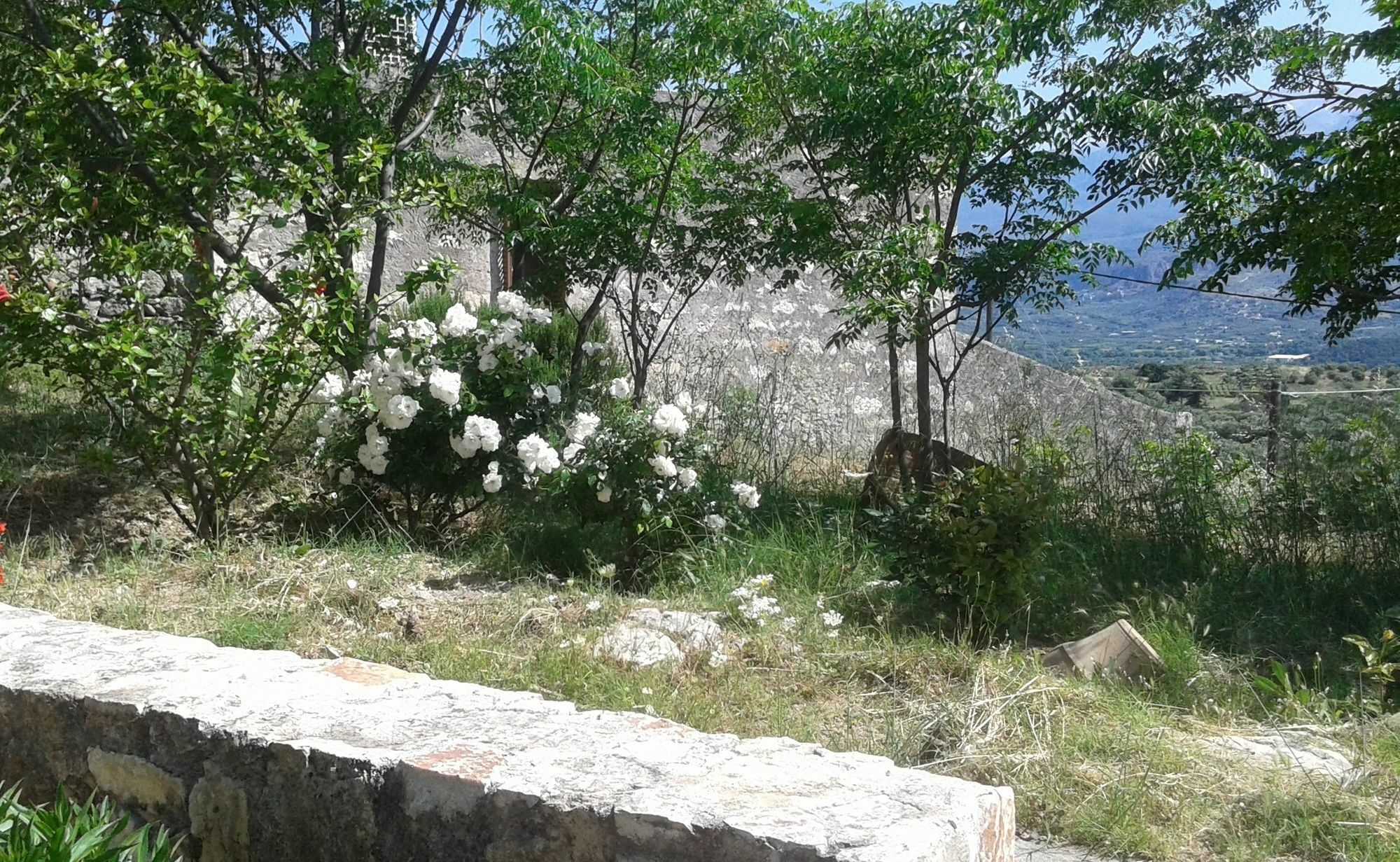 فيلا Petra & Elia Megala Chorafia المظهر الخارجي الصورة