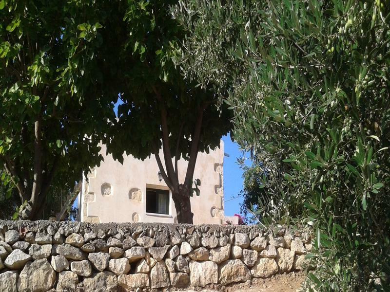 فيلا Petra & Elia Megala Chorafia المظهر الخارجي الصورة
